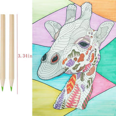 12-Shade Colour Pencils (With Sharpener)