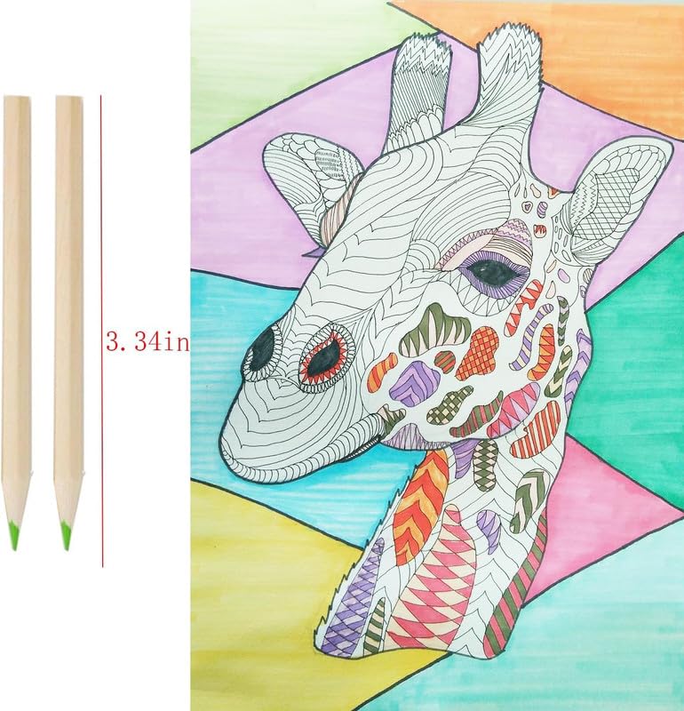 12-Shade Colour Pencils (With Sharpener)