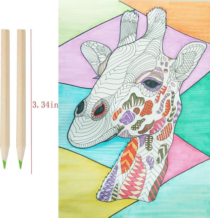 12-Shade Colour Pencils (With Sharpener)