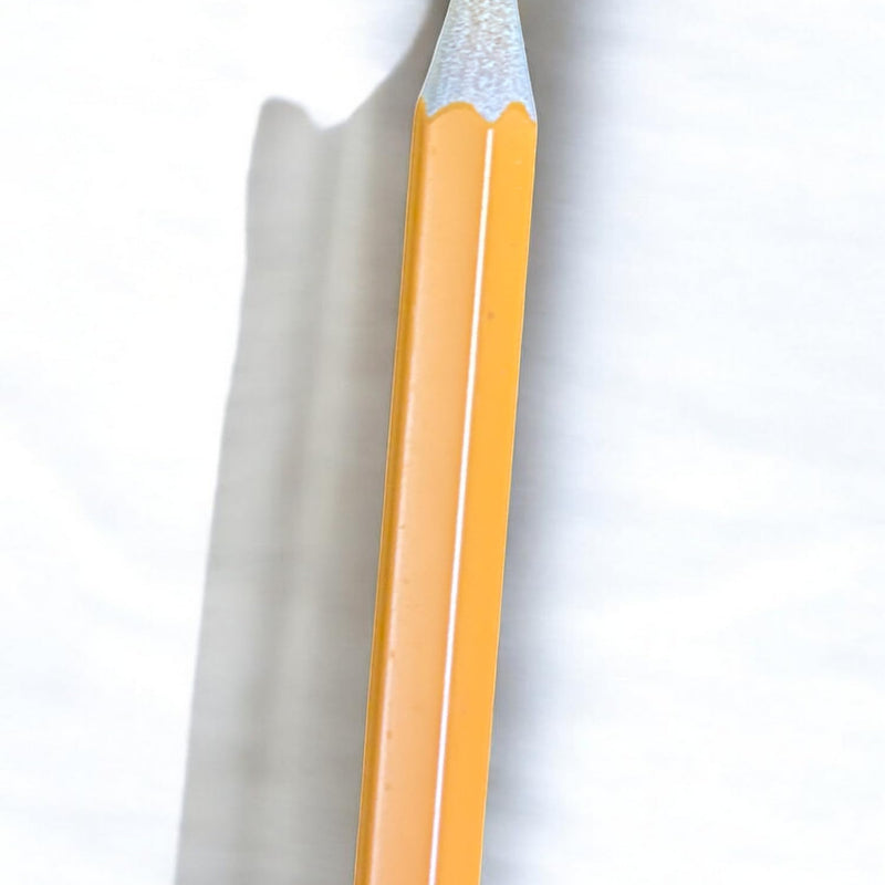 Erasable Colour Pencils (18-Pack)