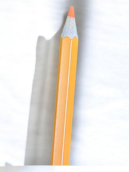 Erasable Colour Pencils (18-Pack)